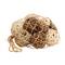 Beige Dried Plant Handmade Natural Foliage with Fishnet Bag
